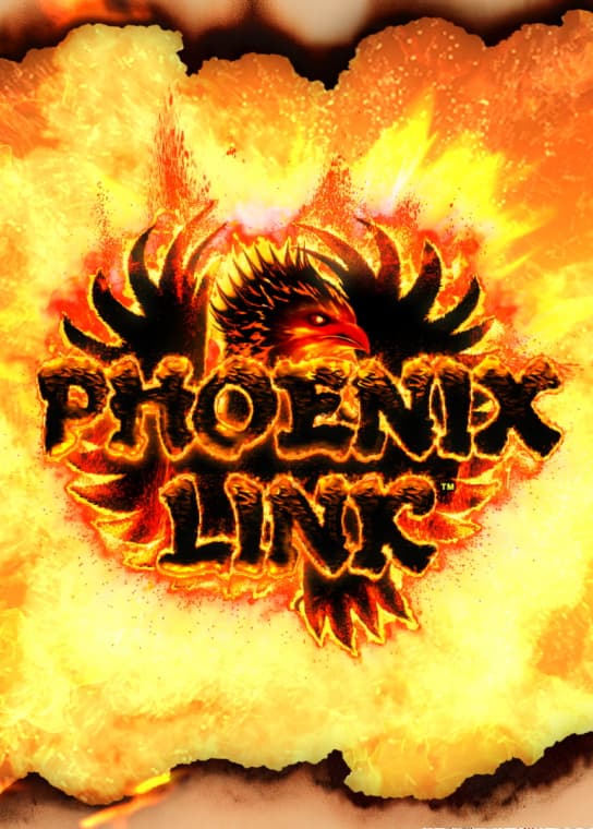 PHOENIX LINK